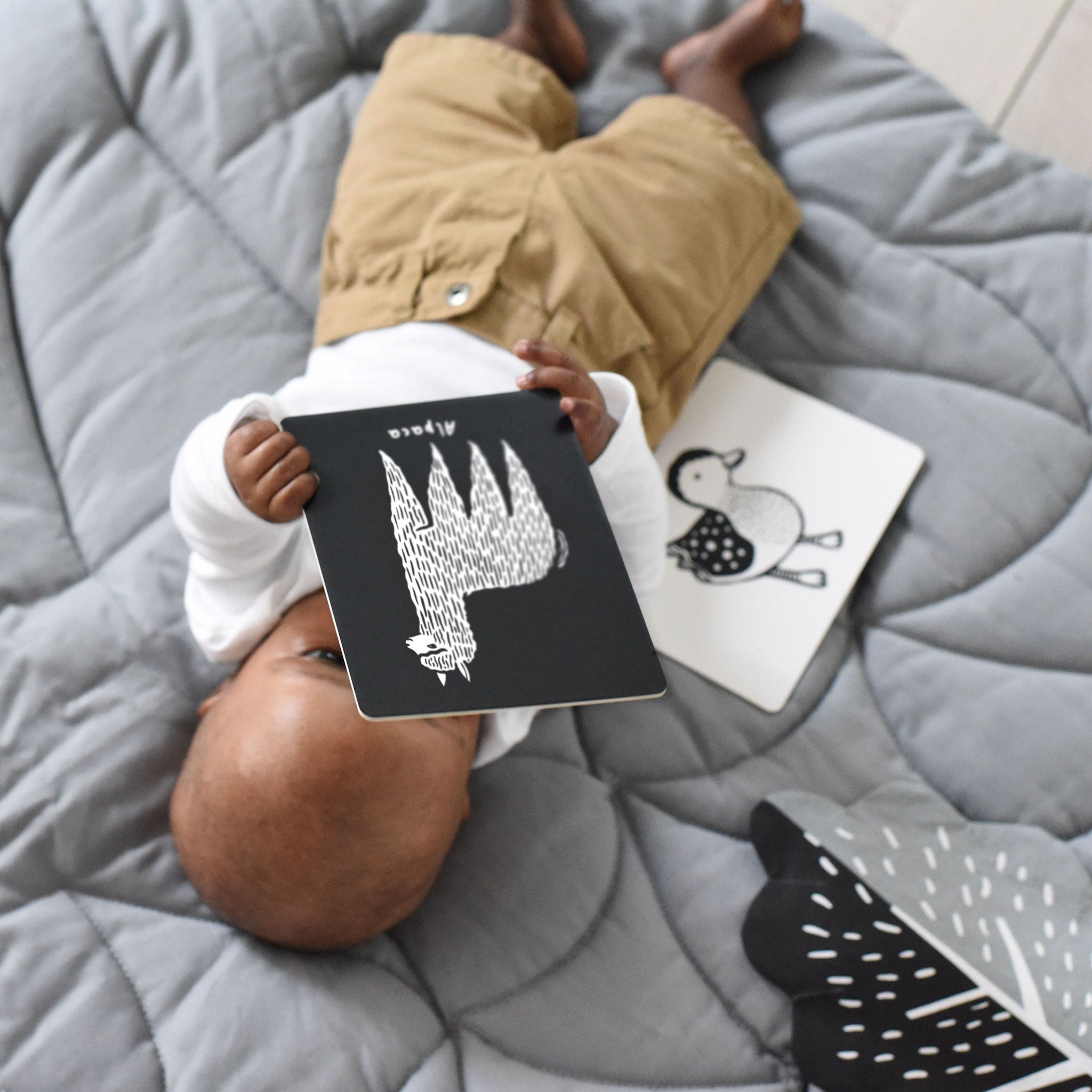 Art Cards for Baby (Baby Animals Collection)