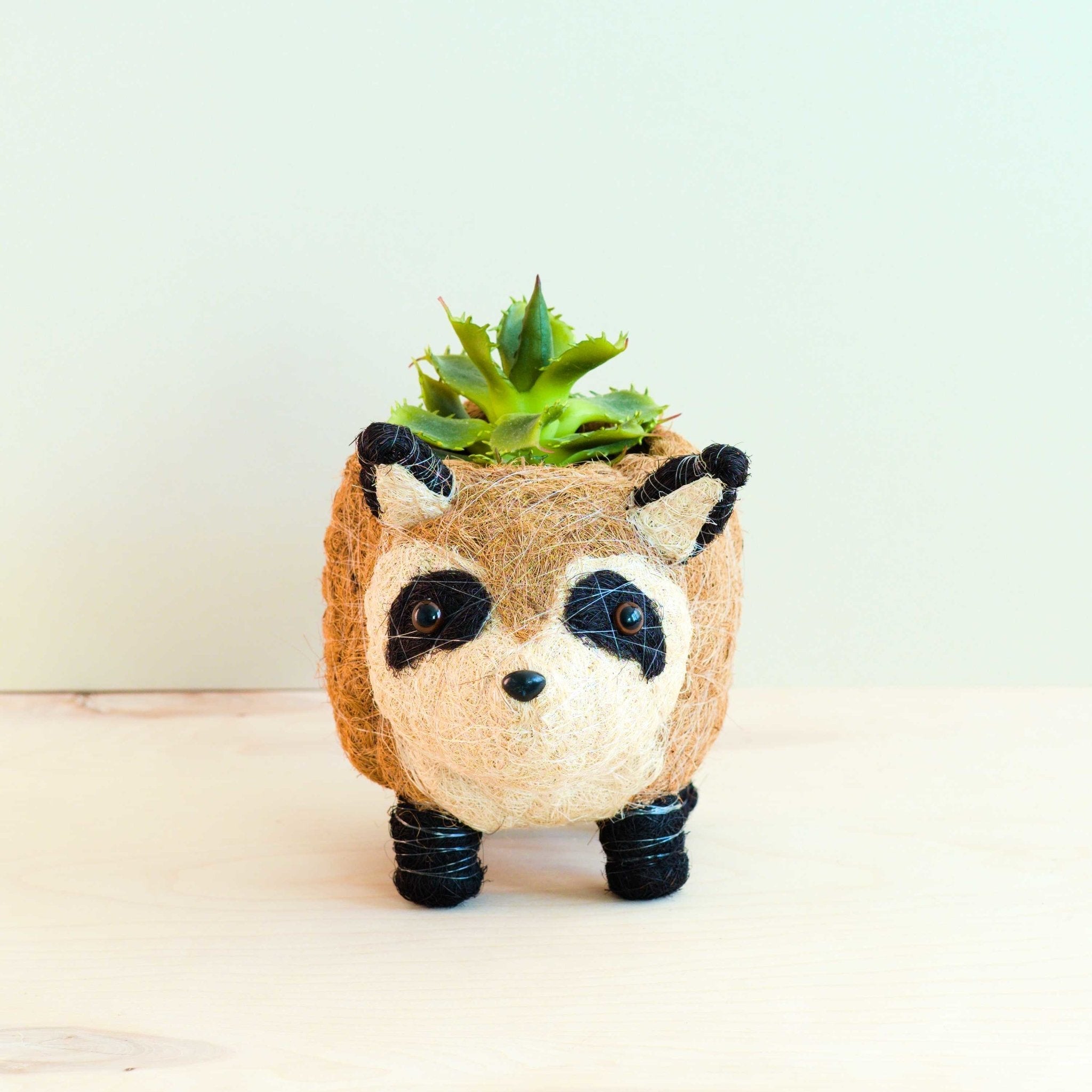 - Raccoon Planter - Handmade Plant Pot | LIKHA - LIKHÂ