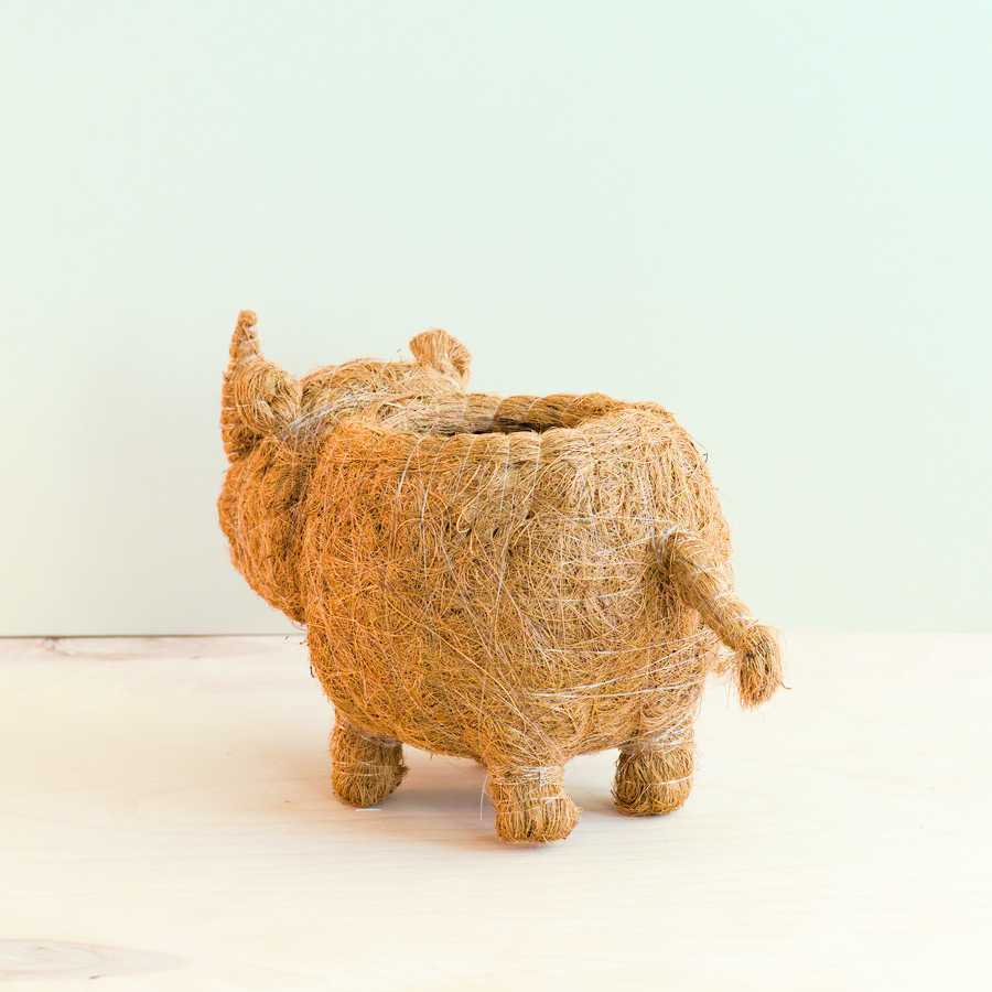 - Rhino Planter - Coco Coir Pot | LIKHA - LIKHÂ