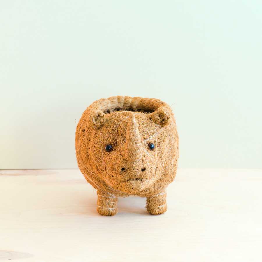 - Rhino Planter - Coco Coir Pot | LIKHA - LIKHÂ