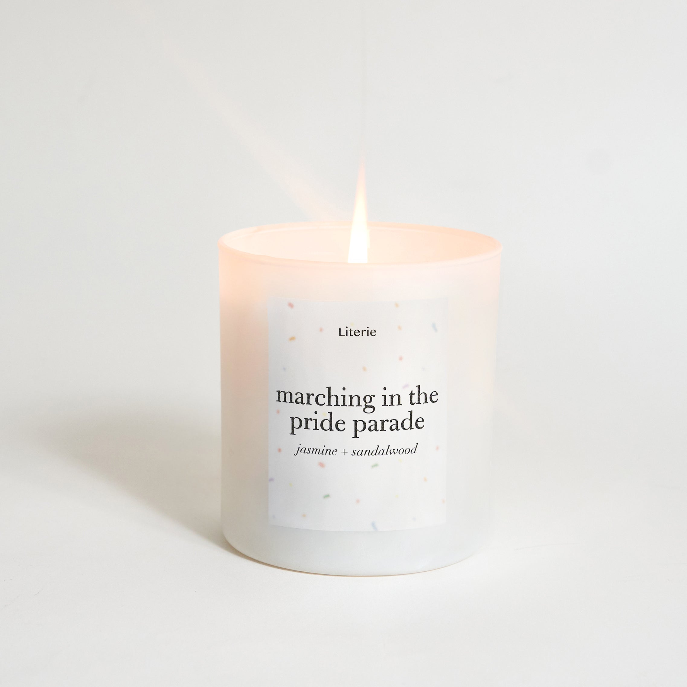 Marching in the Pride Parade