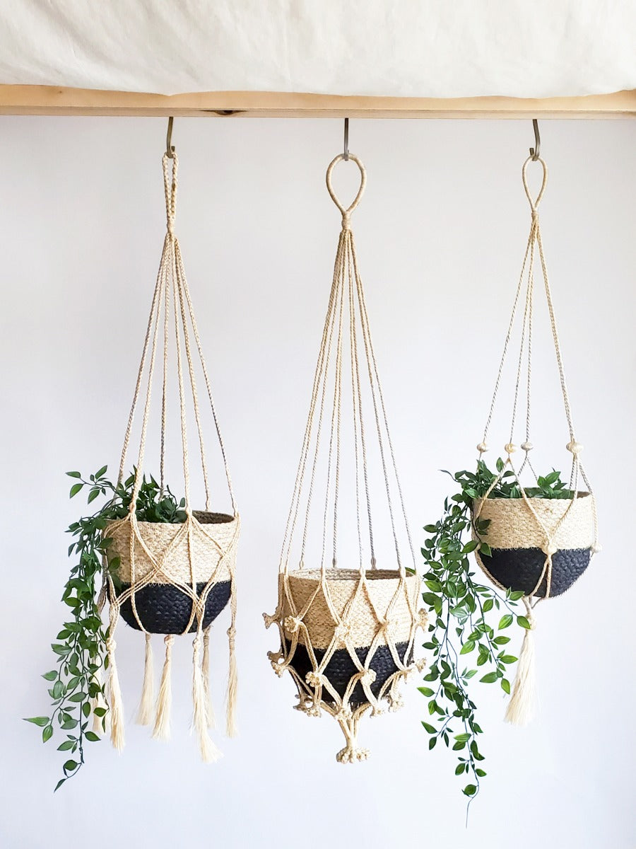 Plant Hanger (Nadu)
