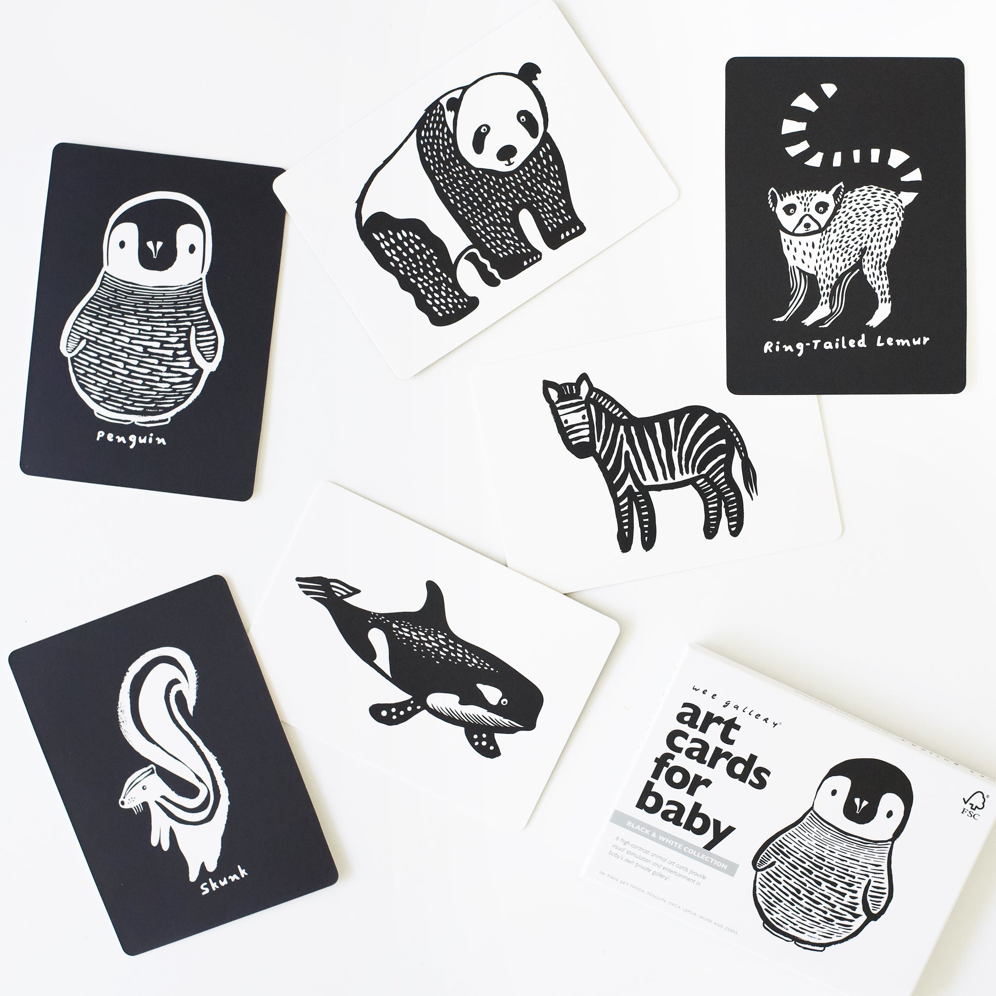Art Cards for Baby (Black and White Collection)