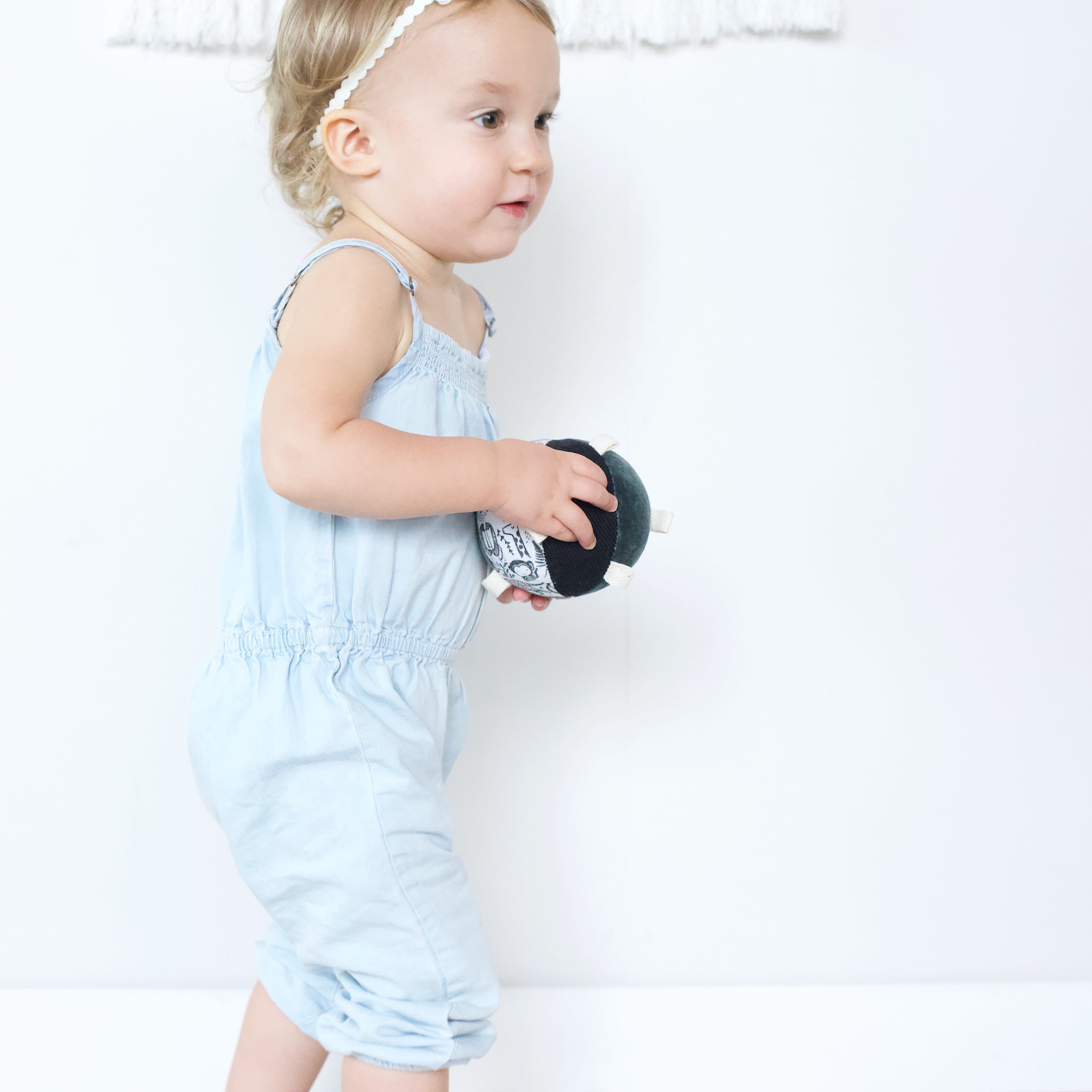 Taggy Ball with Rattle (Wild)