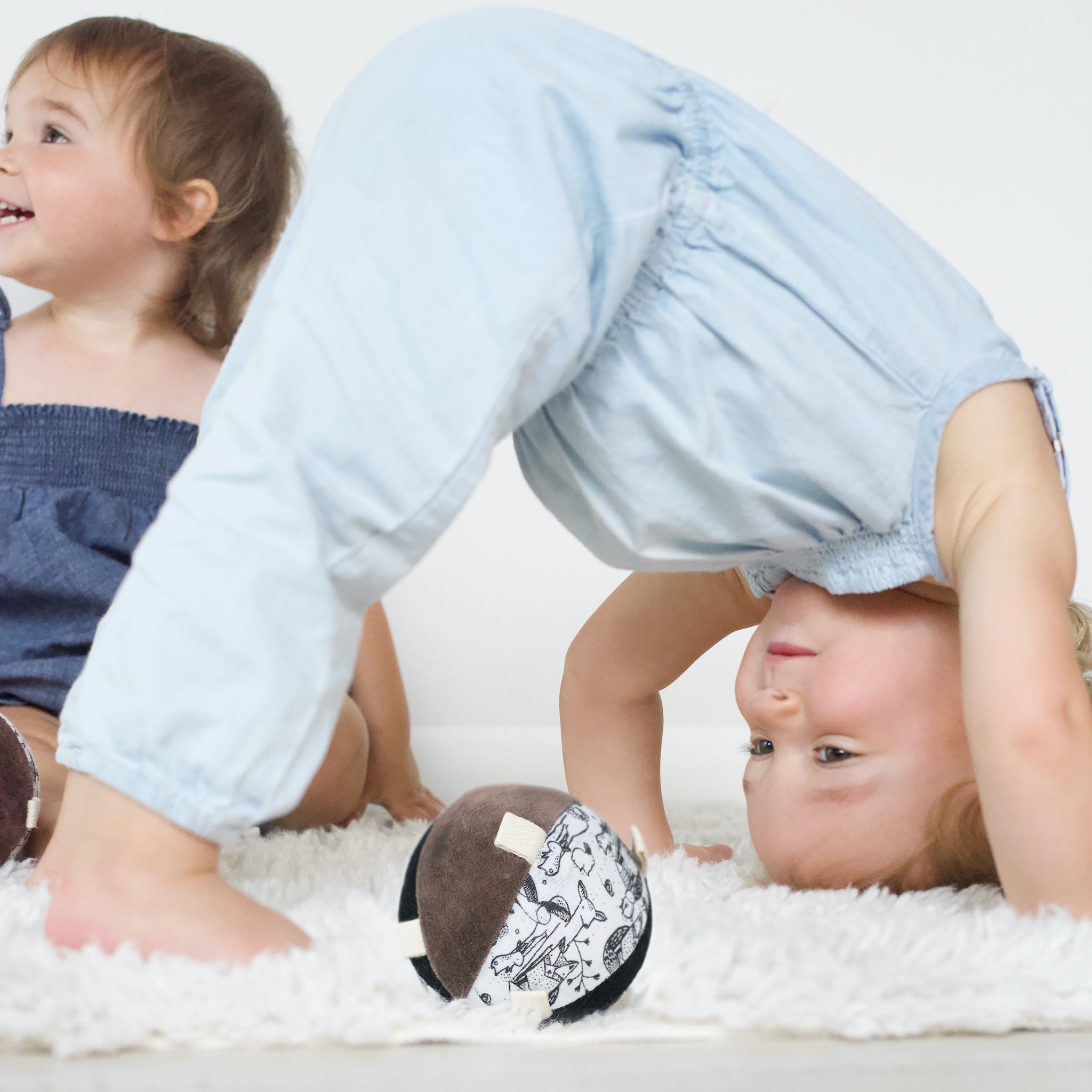 Taggy Ball with Rattle (Woodland)