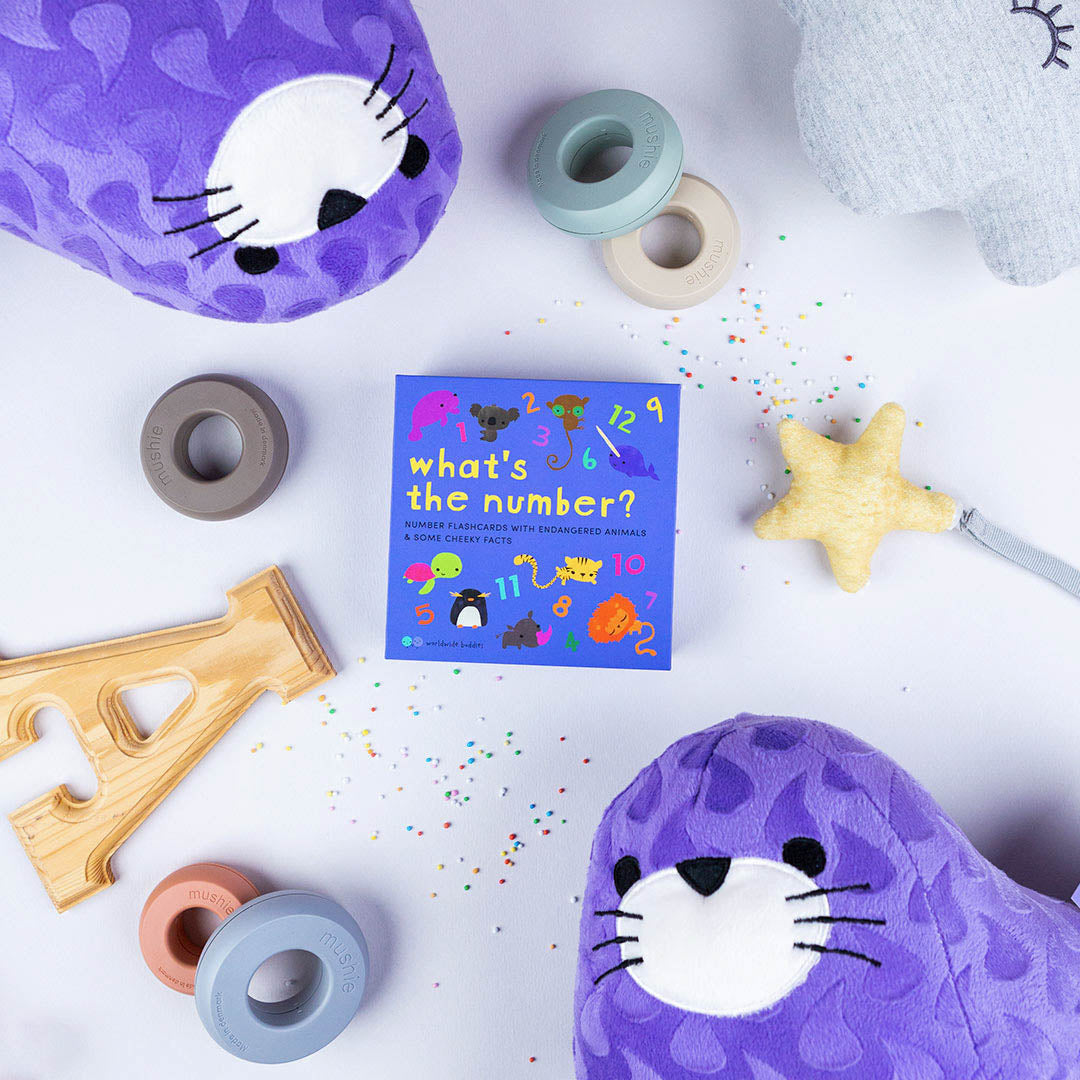 Shui, Spotted Seal Plush Toy