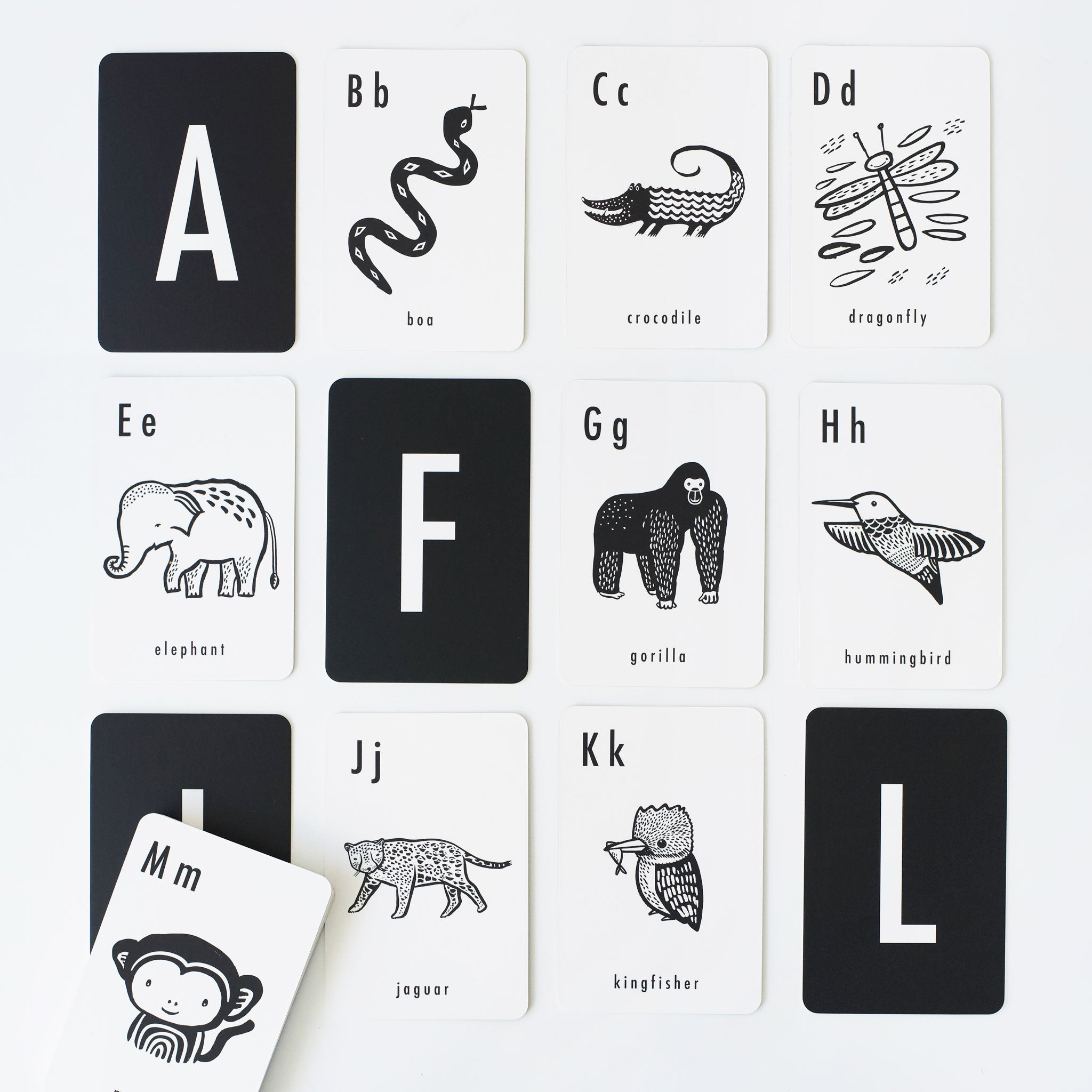 Alphabet Cards (Jungle)