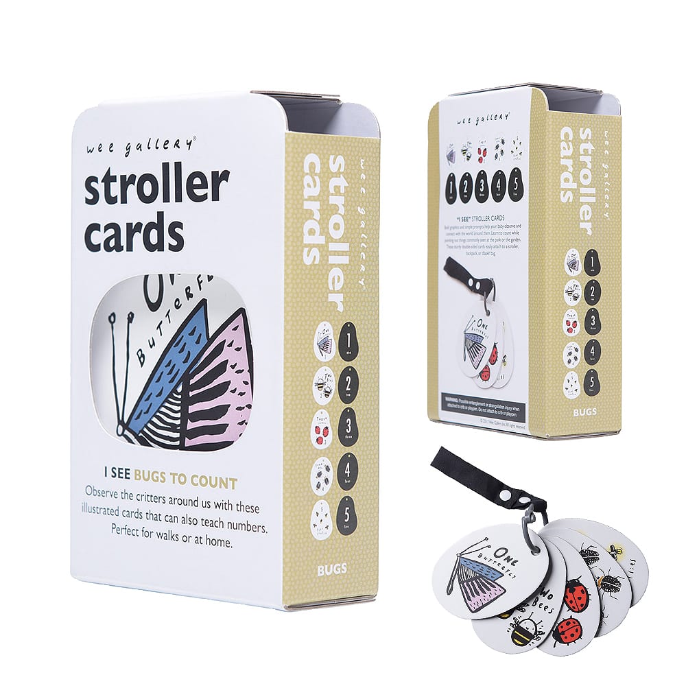 Stroller Cards (I See Bugs to Count)