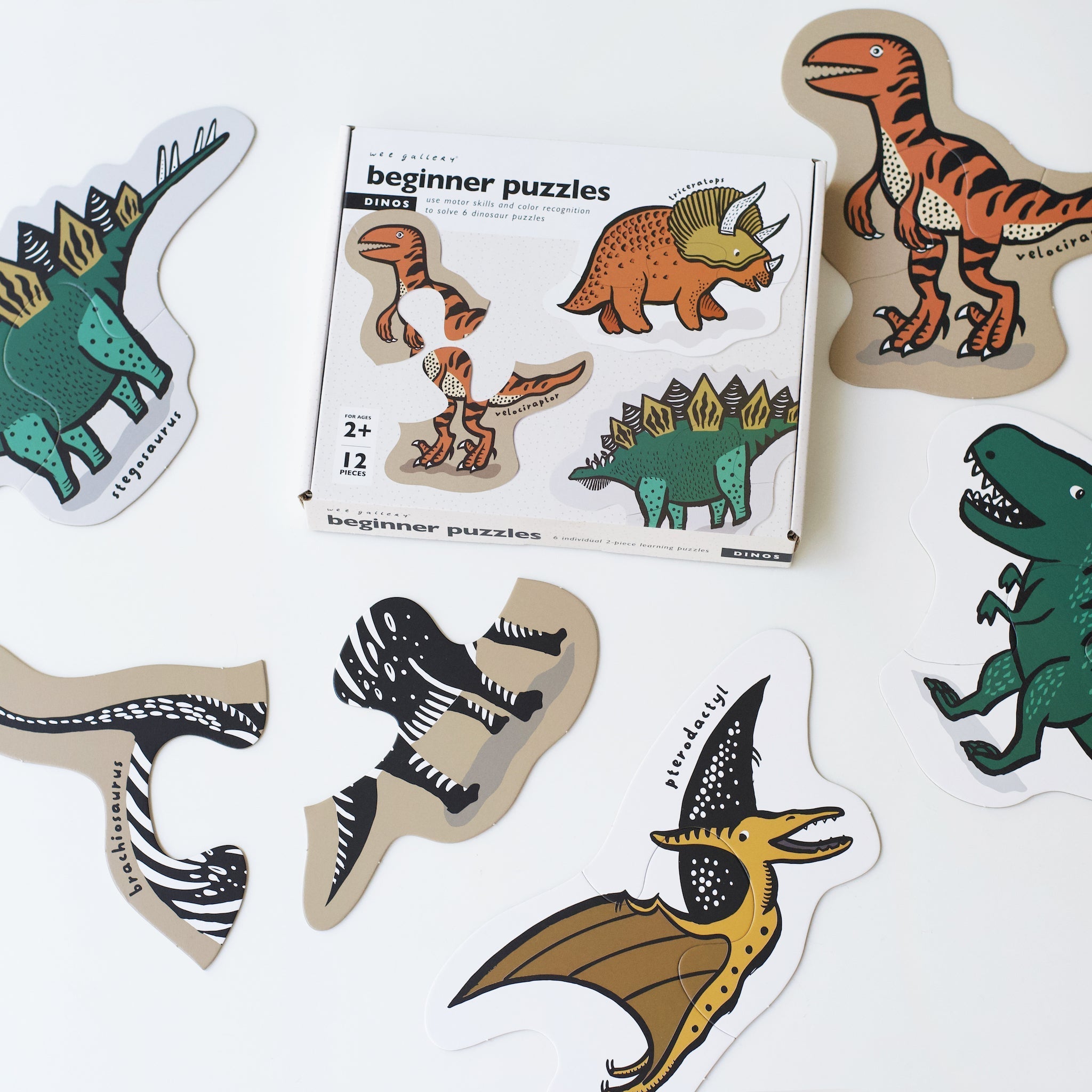 Beginner Puzzles (Dinos)