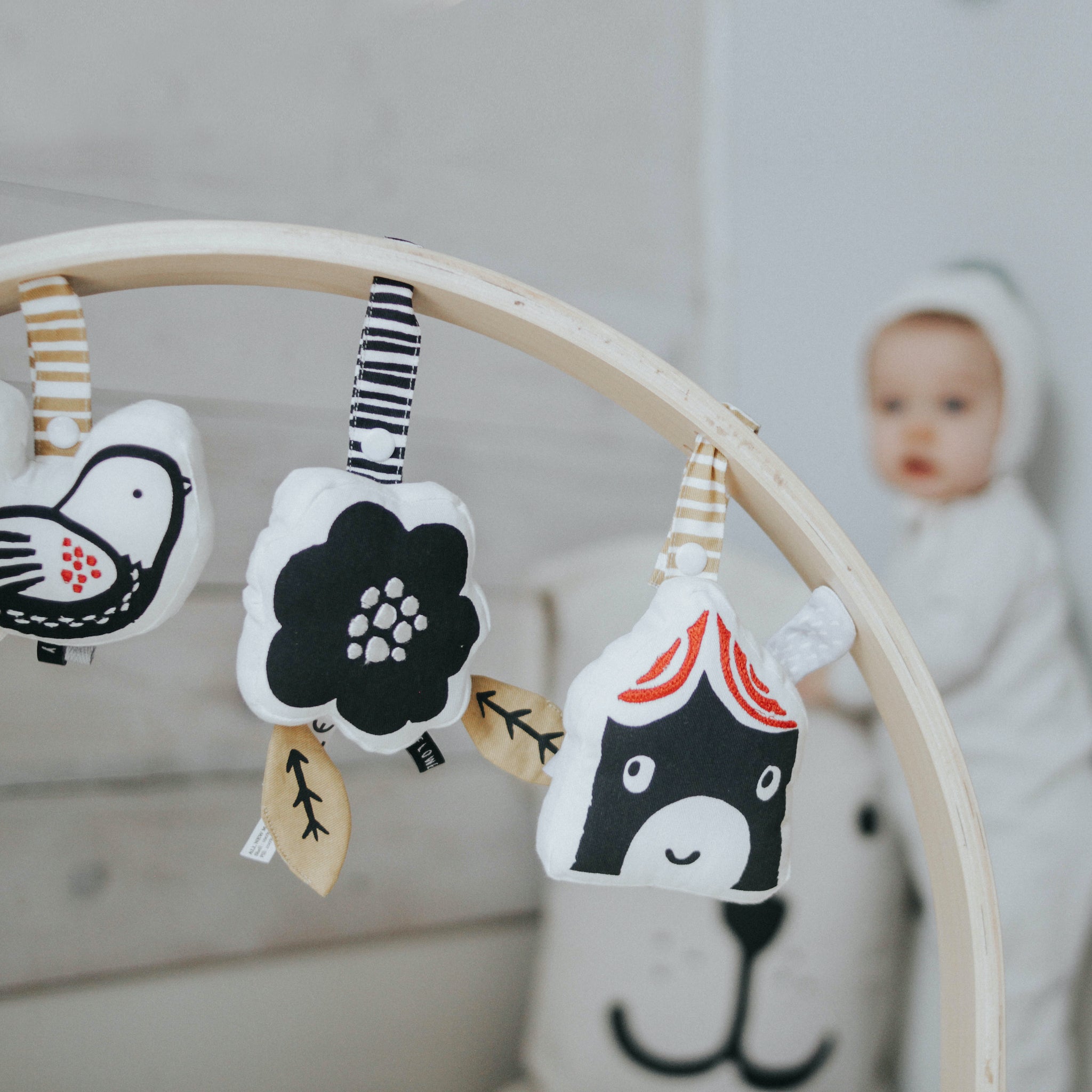 Stroller Toy with Crinkle (House)