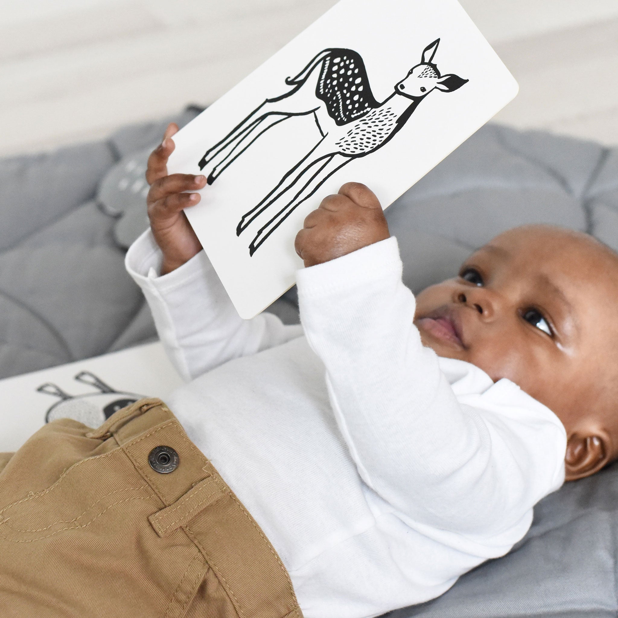 Art Cards for Baby (Safari Collection)