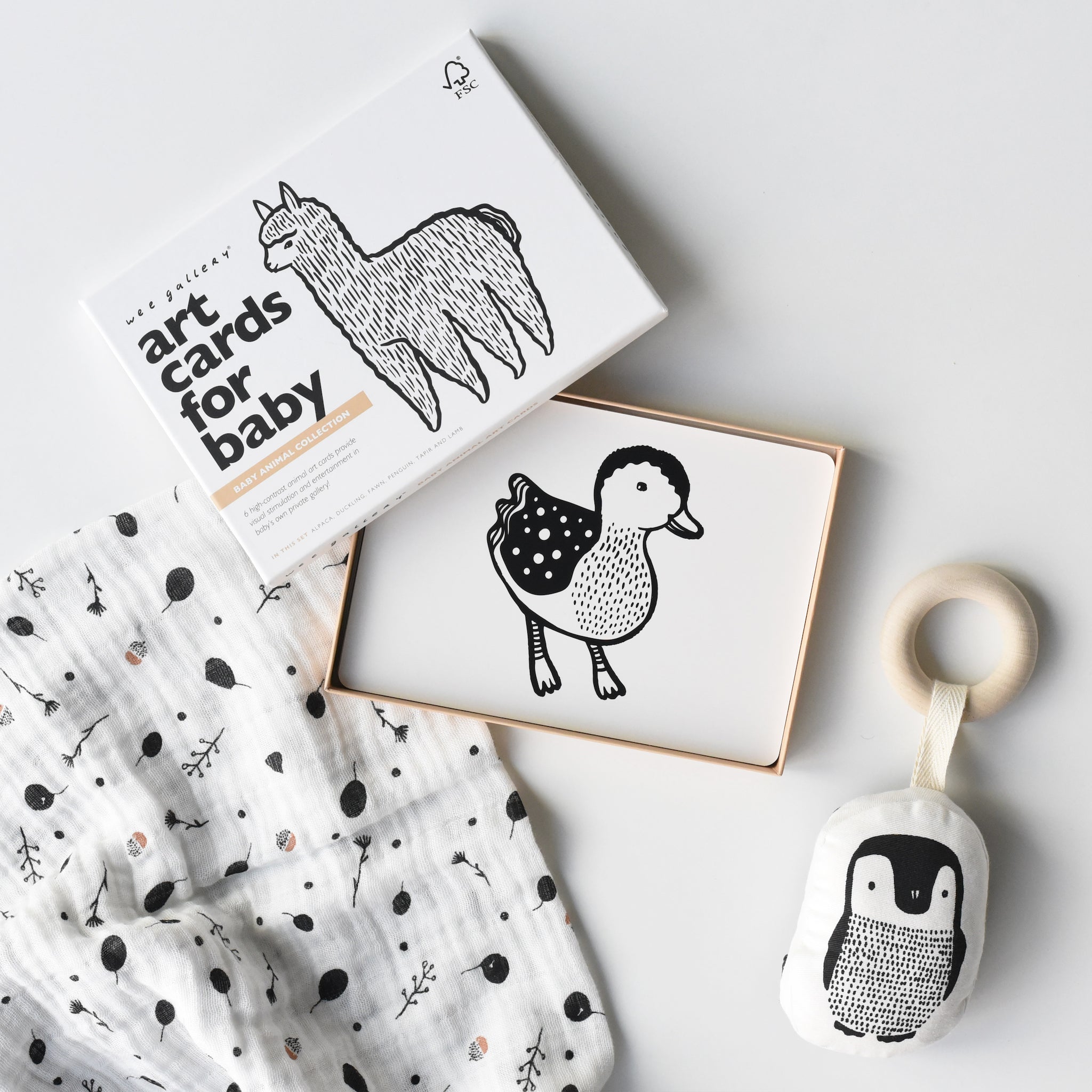 Little Naturalist Gift Set (Baby Animals)