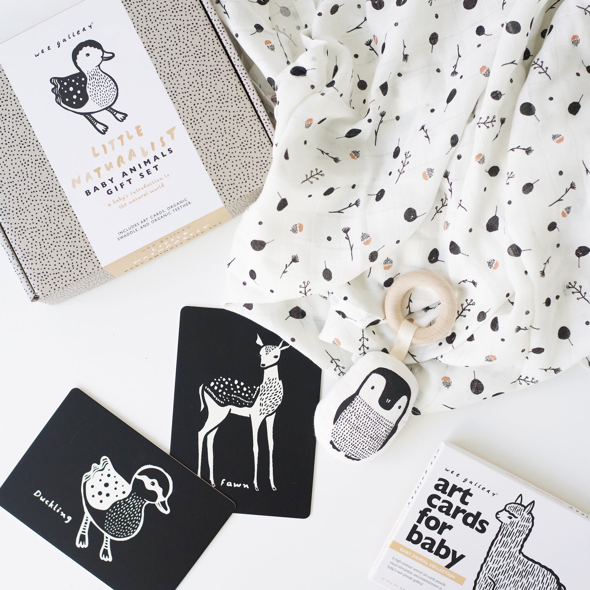 Little Naturalist Gift Set (Baby Animals)